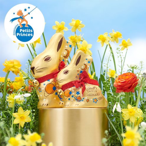 Lindt &amp; Spr&uuml;ngli France, un chocolatier au grand c&oelig;ur pour les r&ecirc;ves des enfants