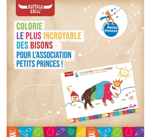 Des bisons aux milles couleurs pour des r&ecirc;ves 
