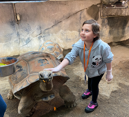 Dans les coulisses du ZooParc de Beauval