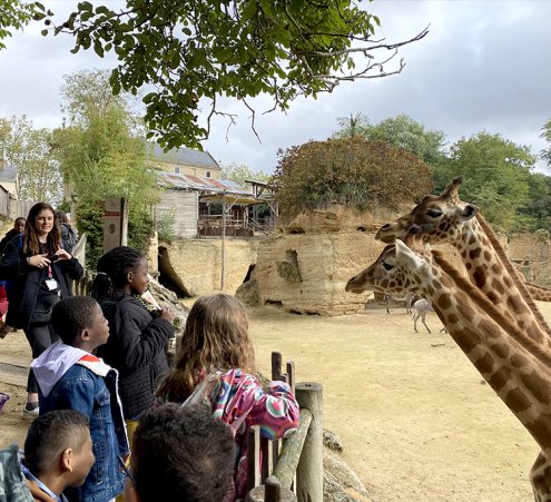 Un week-end au zoo pour des enfants suivis &agrave; Robert Debr&eacute;