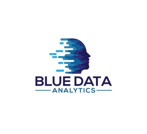 BLUE DATA ANALYTICS