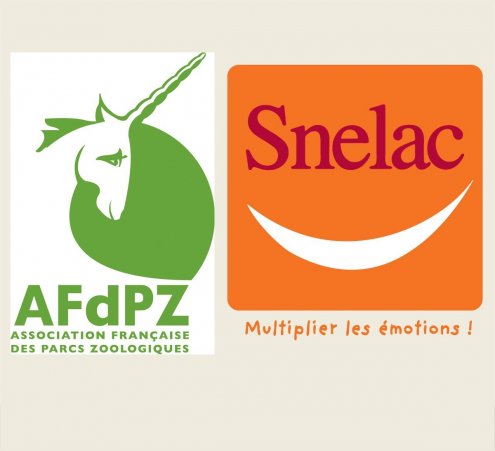 Des entr&eacute;es solidaires le 22 juin 2013 !