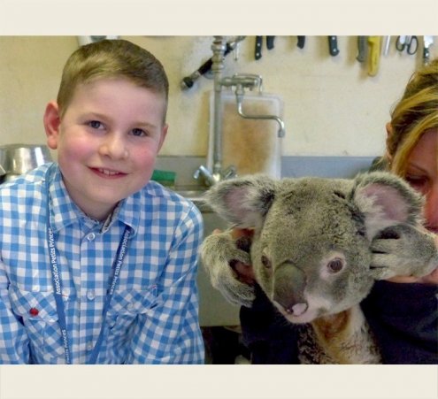 Le r&ecirc;ve d&rsquo;Antoine : caresser un koala !
