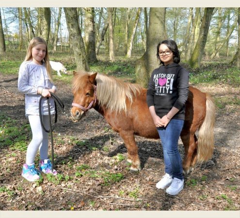 Au pas, au trot, au galop !