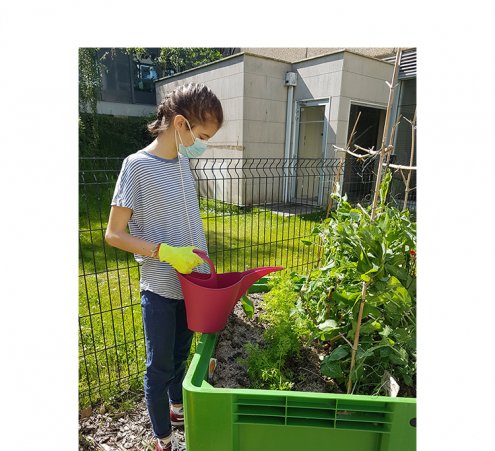 Au c&oelig;ur de la biodiversit&eacute;