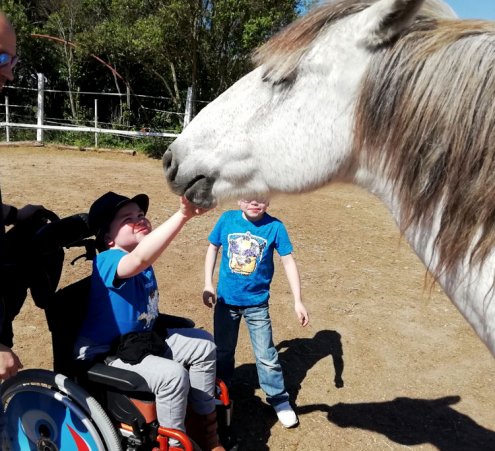 Rom&eacute;o et les chevaux de Camargue