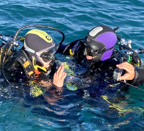 D&eacute;couvrir les fonds marins