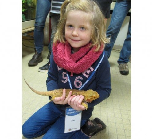 Elsa, 6 ans, a approch&eacute; les animaux sauvages