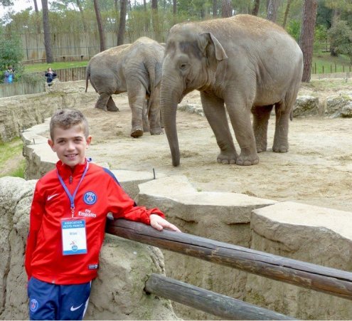 Soigneur au zoo de la Palmyre