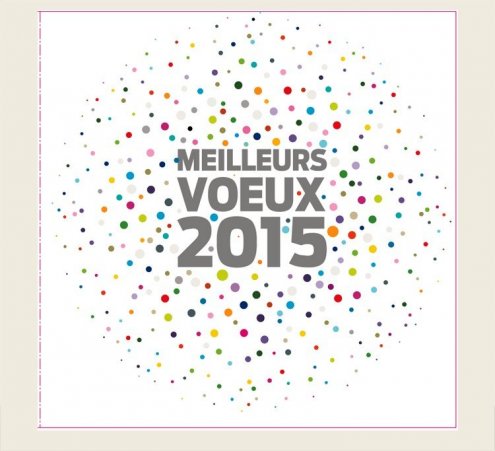 Cartes de voeux solidaires 2015 !