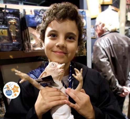 Revivre la magie d&rsquo;Harry Potter &agrave; Londres