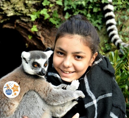Au plus pr&egrave;s des animaux du zoo de La Fl&egrave;che