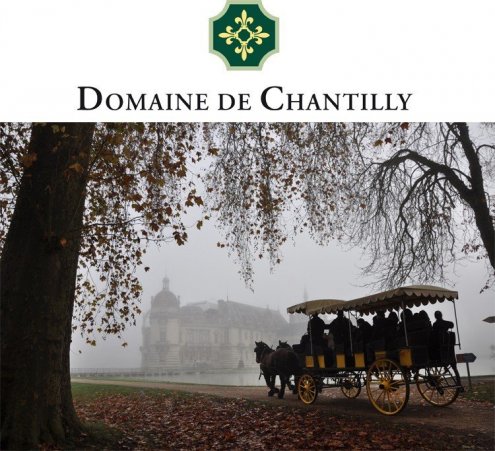 No&euml;l solidaire au Domaine de Chantilly