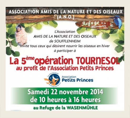 Op&eacute;ration Tournesol