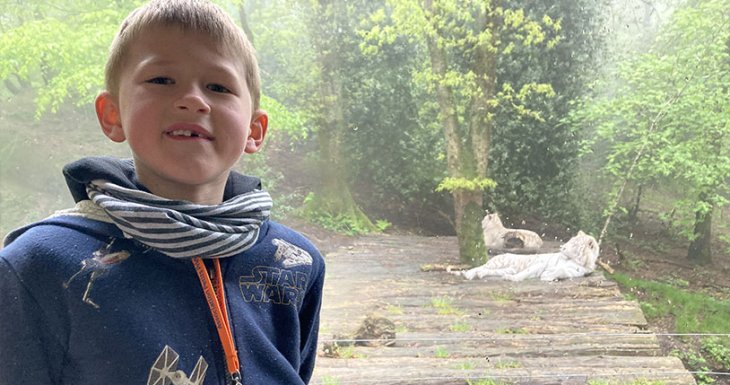 Soen r&ecirc;ve de donner &agrave; manger aux animaux 