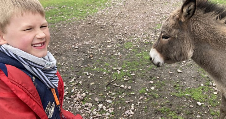 Soen r&ecirc;ve de donner &agrave; manger aux animaux 