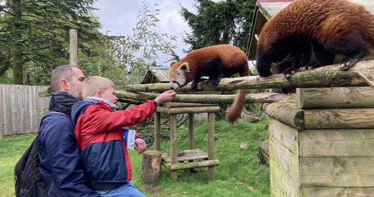 Soen r&ecirc;ve de donner &agrave; manger aux animaux 