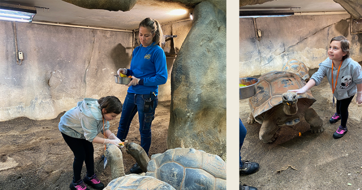 Dans les coulisses du ZooParc de Beauval