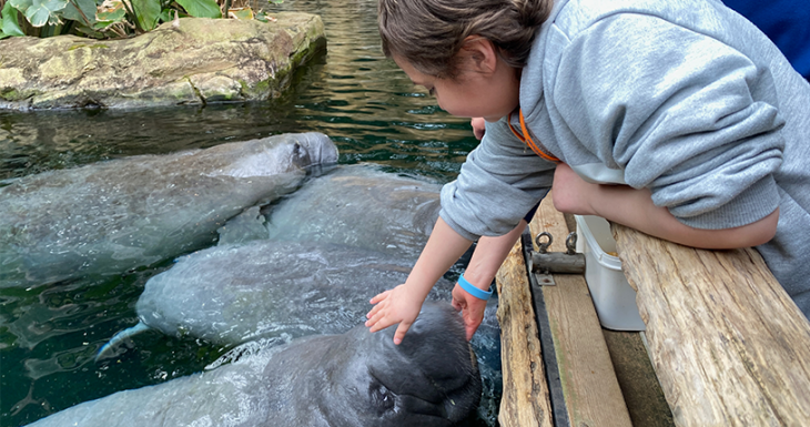 Dans les coulisses du ZooParc de Beauval