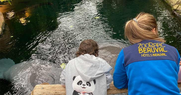 Dans les coulisses du ZooParc de Beauval