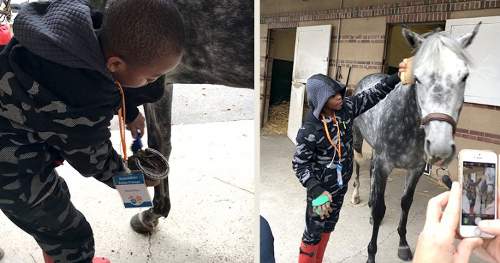 Un r&ecirc;ve au triple galop