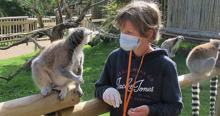 Le safari de Noa, un r&ecirc;ve en famille 