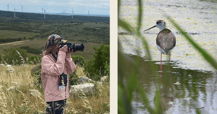 Lola au pays des oiseaux 