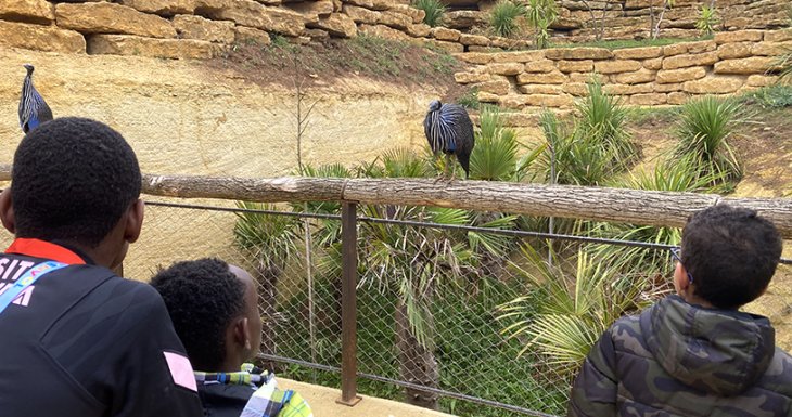Un week-end au zoo pour des enfants suivis &agrave; Robert Debr&eacute;
