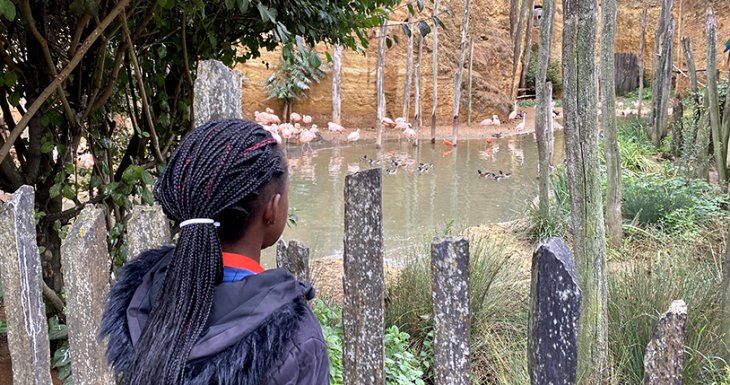 Un week-end au zoo pour des enfants suivis &agrave; Robert Debr&eacute;