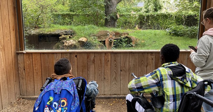 Un week-end au zoo pour des enfants suivis &agrave; Robert Debr&eacute;