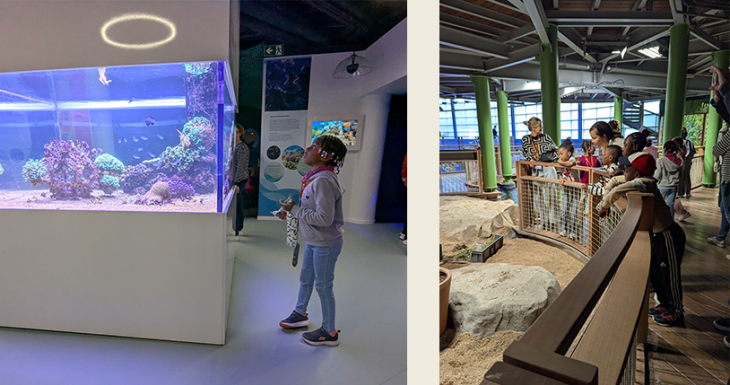 D&eacute;couverte de l&rsquo;univers marin pour les petits Lillois