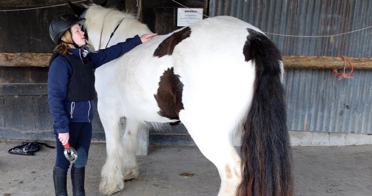 Balade &agrave; poney au Mont-Saint-Michel