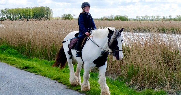 Balade &agrave; poney au Mont-Saint-Michel