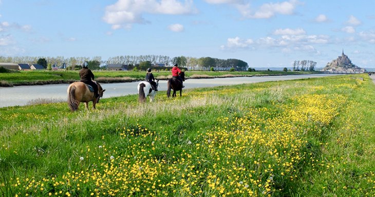 Balade &agrave; poney au Mont-Saint-Michel