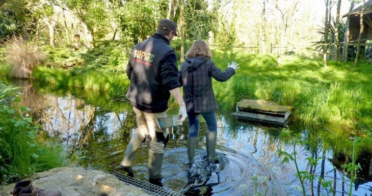 Soigneuse d&#039;un jour au Bioparc de Dou&eacute; la Fontaine