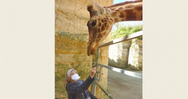 Soigneuse d&#039;un jour au Bioparc de Dou&eacute; la Fontaine