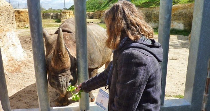 Soigneuse d&#039;un jour au Bioparc de Dou&eacute; la Fontaine