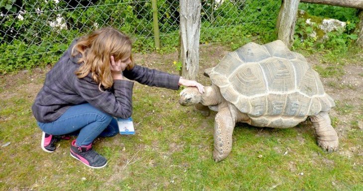 Soigneuse d&#039;un jour au Bioparc de Dou&eacute; la Fontaine