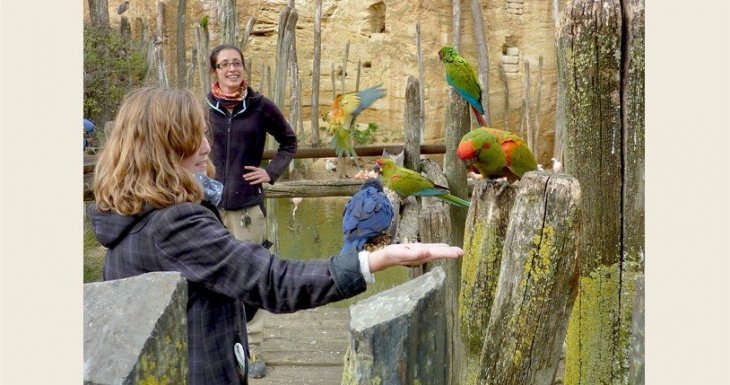 Soigneuse d&#039;un jour au Bioparc de Dou&eacute; la Fontaine