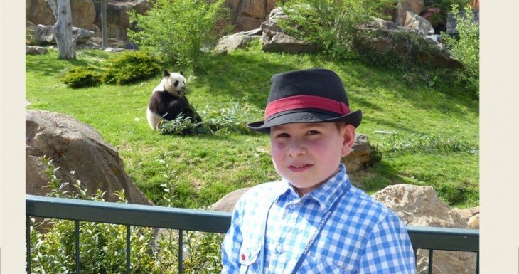Le r&ecirc;ve d&rsquo;Antoine : caresser un koala !