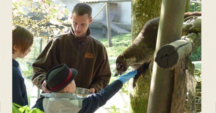 Le r&ecirc;ve d&rsquo;Antoine : caresser un koala !