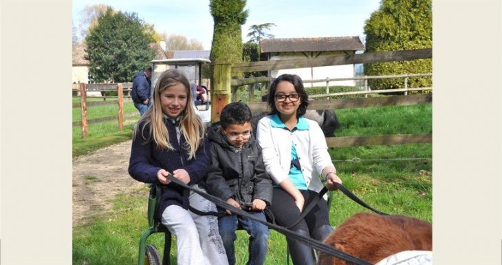 Au pas, au trot, au galop !