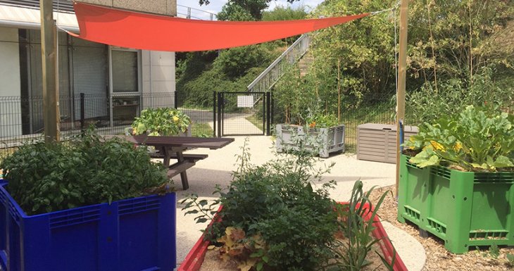 &laquo; Coup de pousse &raquo;, le jardin potager du CHU de Rennes