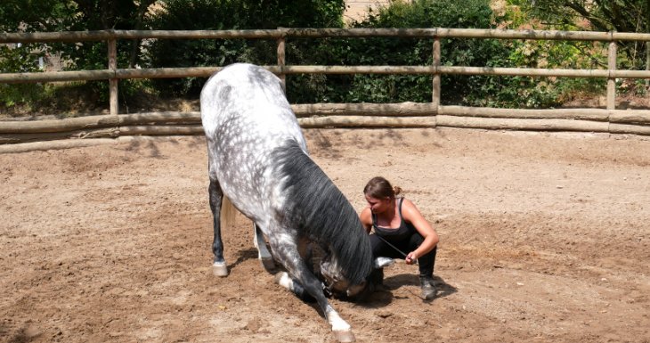 &laquo; Danse avec lui &raquo;