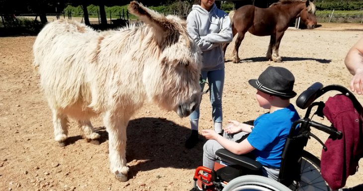 Rom&eacute;o et les chevaux de Camargue