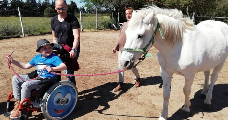 Rom&eacute;o et les chevaux de Camargue