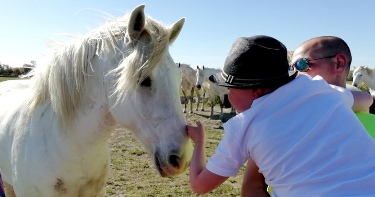Rom&eacute;o et les chevaux de Camargue