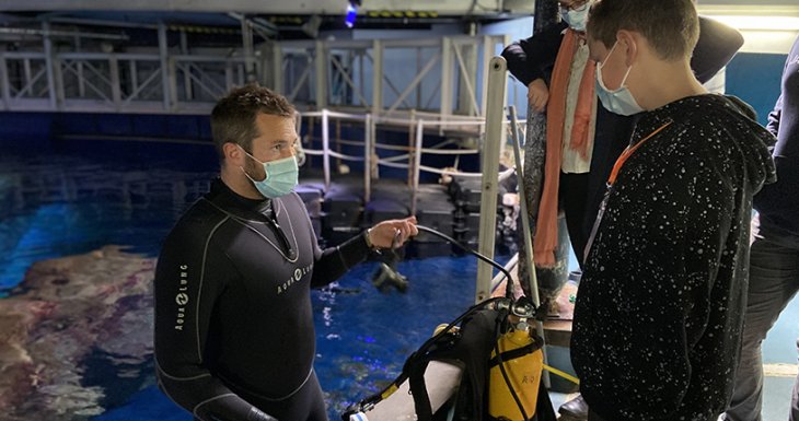D&eacute;couvrir les fonds marins