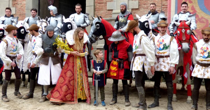 Le chevalier des globules blancs