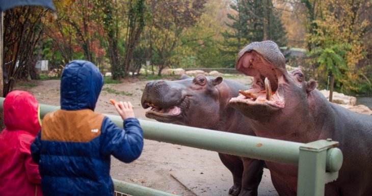 Elsa, 6 ans, a approch&eacute; les animaux sauvages